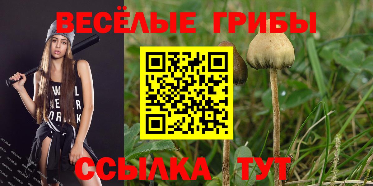 Вичуга  Псилоцибиновые грибы Cubensis  Галлюциногенные грибы GOLDEN TEACHER  Вход с VPN 