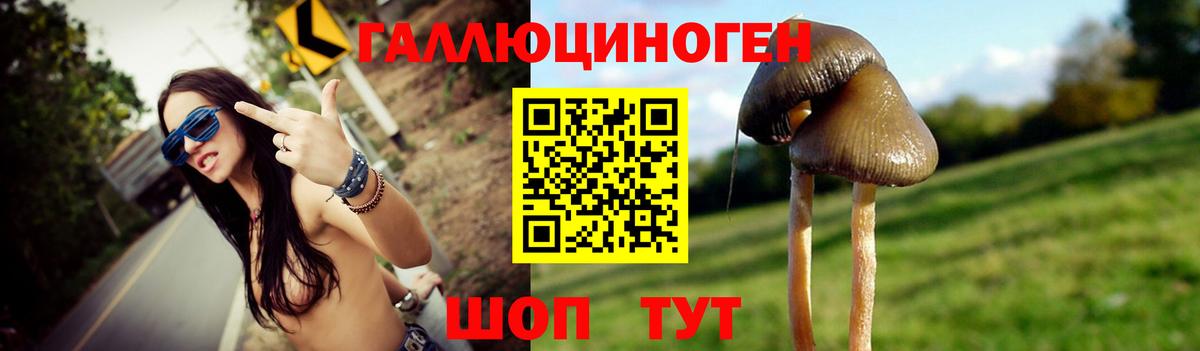 Псилоцибиновые грибы Psilocybe Вичуга